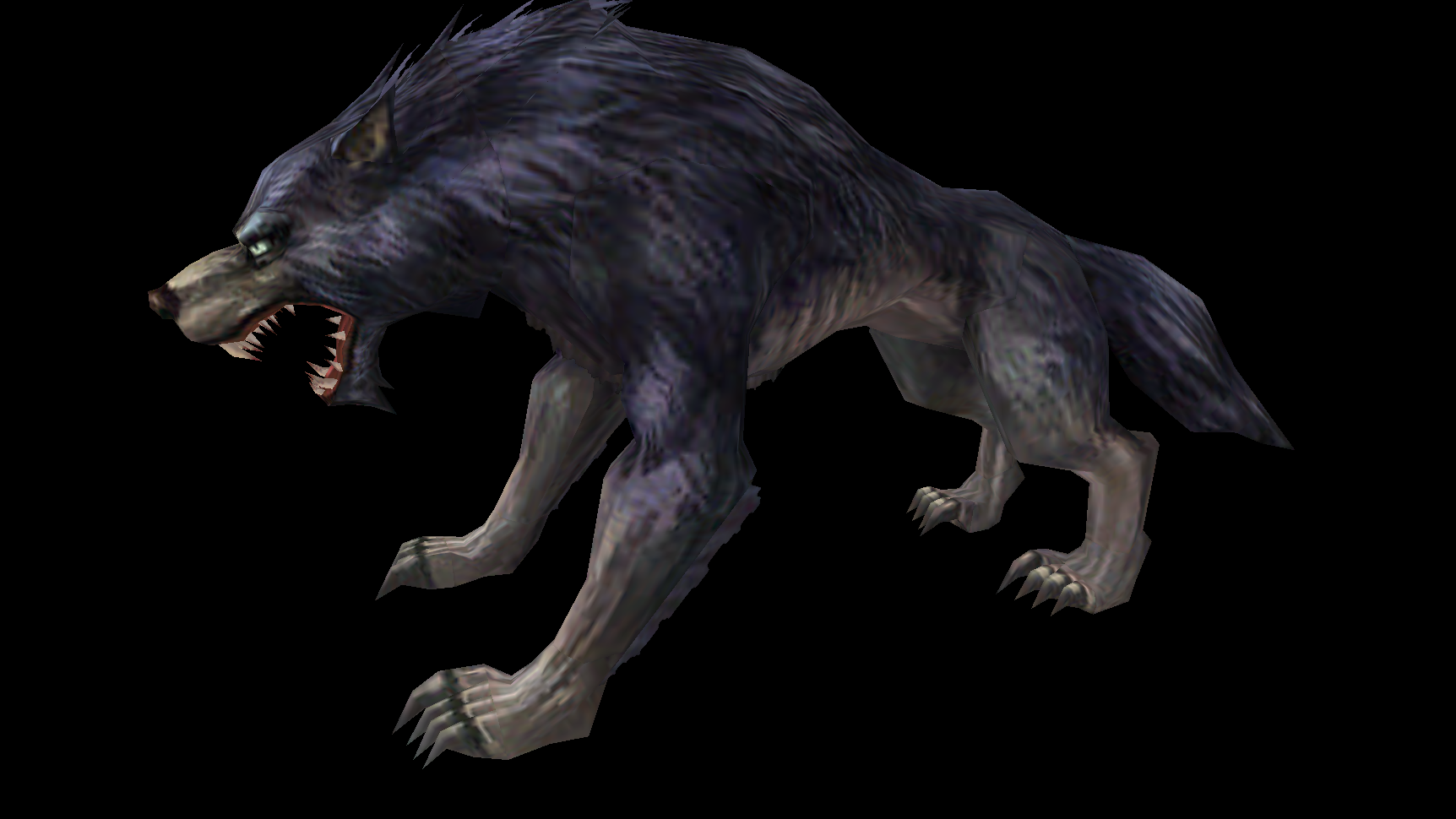 凶猛的大灰狼模型