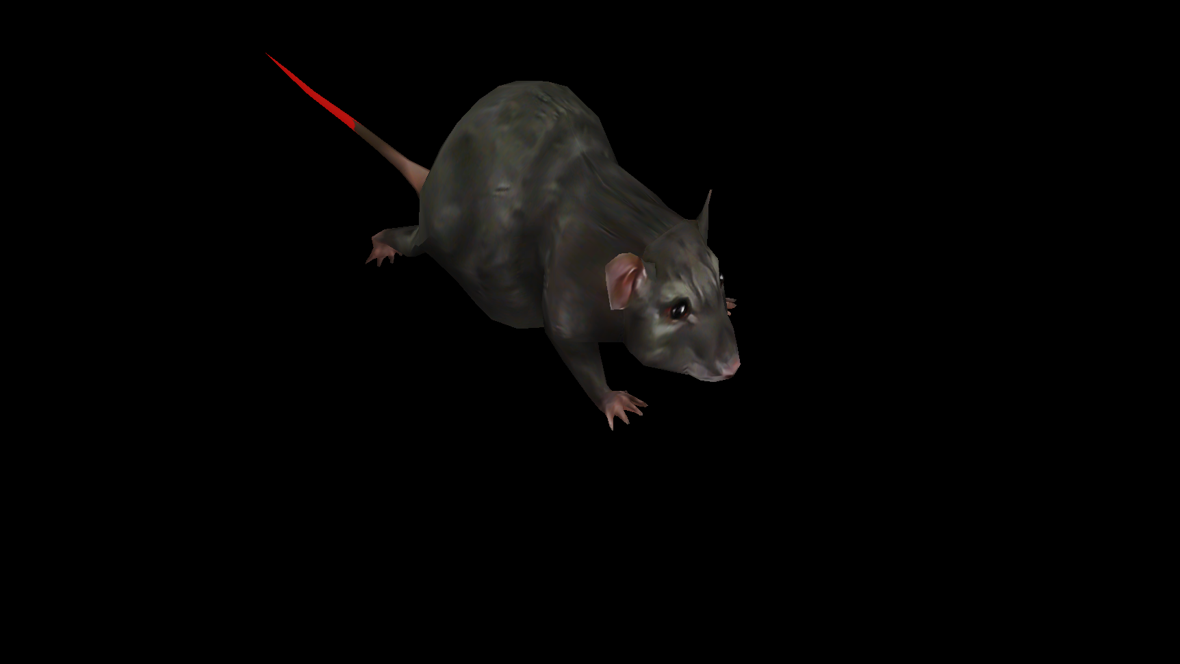 老鼠-2.png