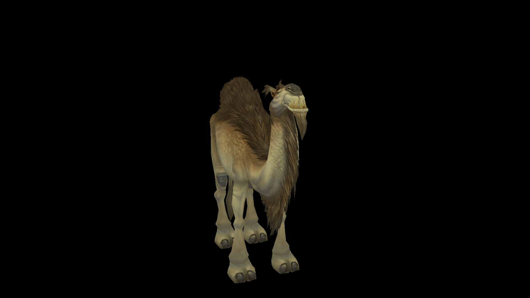 骆驼-1.png