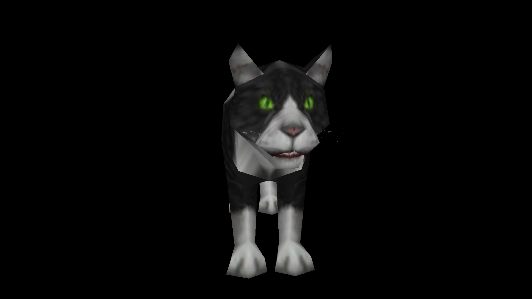 黑白猫模型